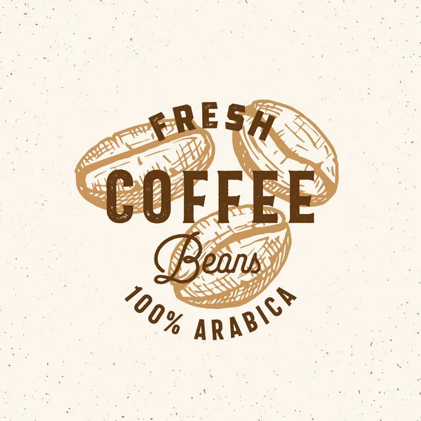 Fresh Arabica Coffee Beans Abstract Vector Sign, Symbol or Logo Template. Hand Drawn Coffee Beans with Premium Vintage Typography and Shabby Texture Background. Stylish Classy Vector Emblem Concept. — Stock Vector