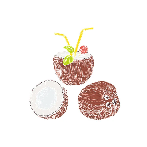 Metà della composizione di cocco e cocco. Schizzo astratto. Illustrazione vettoriale disegnata a mano . — Vettoriale Stock