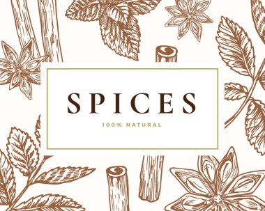 El Çizimi Baharat İllüstrasyon Kartı. Soyut Vektör Anise, Tarçın ve Nane Tasviri Özgeçmişi ile Klas Retro Tipografisi.