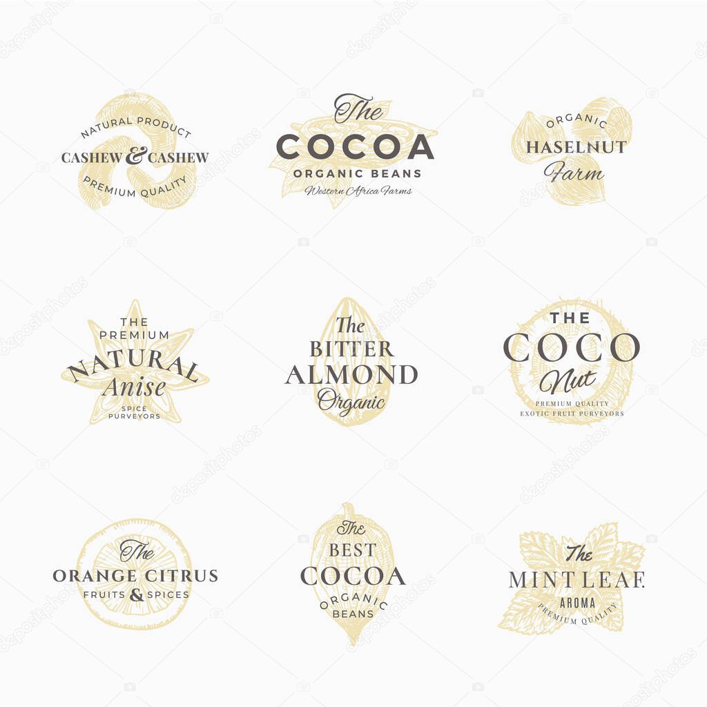 Premium Qualituy Spices, Nuts and Fruits Labels Set. Abstract Vector Signs, Symbols or Logo Templates. Elegant Hand Drawn Sketch Sillhouette with Retro Typography. Vintage Luxury Emblems. Isolated.