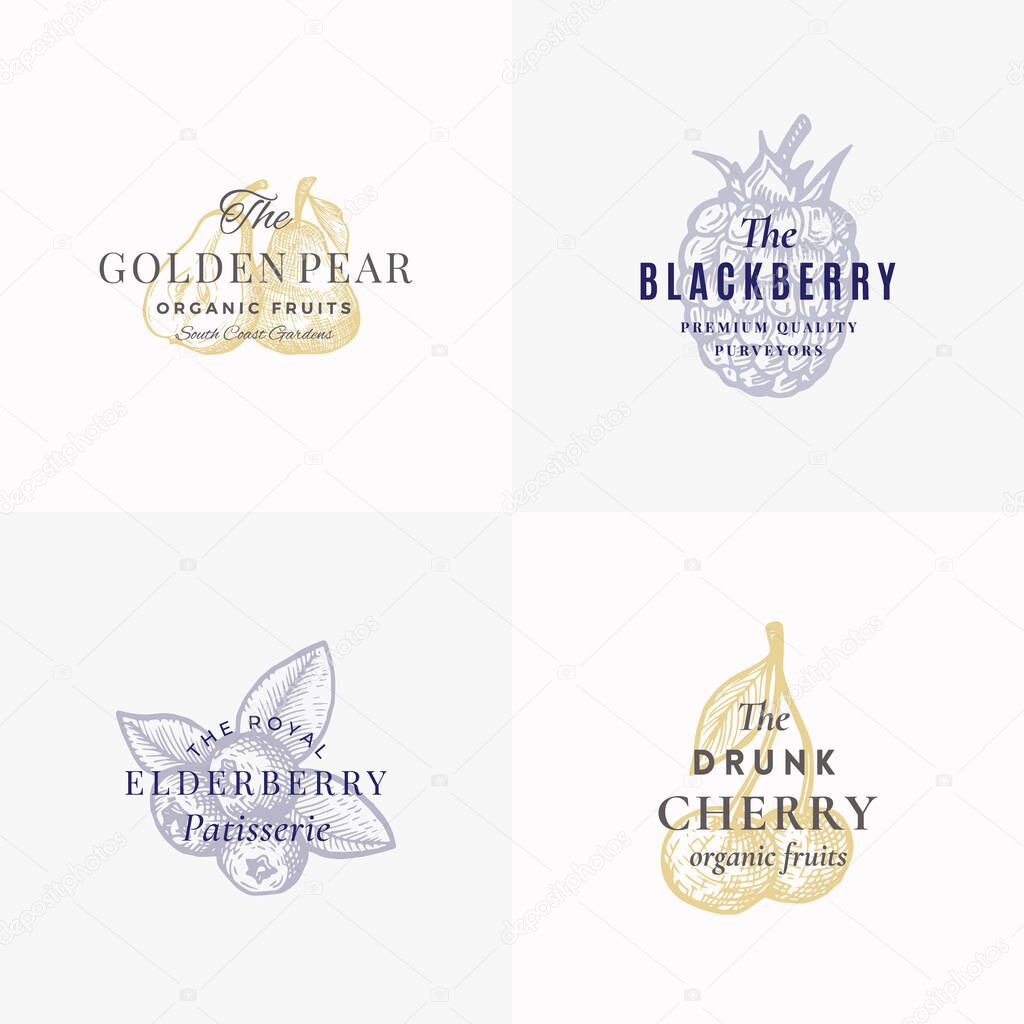 Premium Fruits and Berries Abstract Vector Signs, Symbols or Logo Templates Set. Hand Drawn Apple, Pear, Blackberry, Elderberry and Cherry Sketches with Retro Typography. Vintage Emblems. Isolated.
