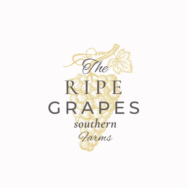 The Ripe Grapes Abstract Vector Sign, Symbol or Logo Template Grape Bunch with Leaf Sketch Sillhouette with Elegant Retro Typography Ядерна розкішна прикраса. — стоковий вектор