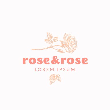 Rose ve Rose Soyut Vektör İşareti, Sembol veya Logo Şablonu. Yapraklı Gül Çiçeği, Zarif Retro tipografili Kök Silüet Çizimi. Eski Amblem.