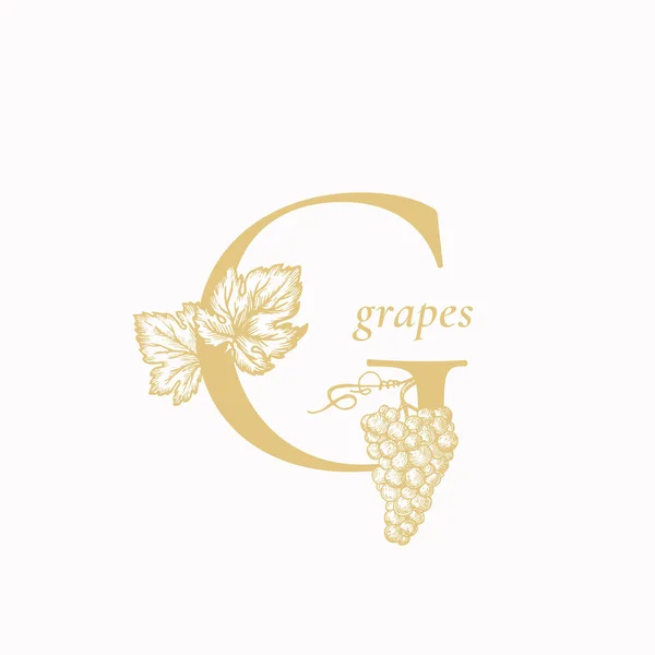 Grape Letter G. Abstract Vector Sign, Symbol or Logo Template. Hand Drawn Grape Branch and Leaves Around the Letter. Vintage Style Luxury Emblem. — Stock Vector