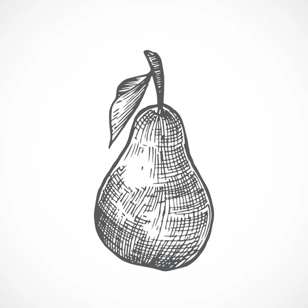 Pera con illustrazione vettoriale disegnata a mano a foglia. Schizzo astratto della frutta . — Vettoriale Stock