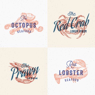 Deniz ürünleri etiketi seti. Retro Yazdırma Efekti Kartları. Soyut Vektör İşareti, Sembol veya Logo Şablonları. El yapımı ıstakoz, ahtapot, karides ve tipografili yengeç. Antika Amblem veya Damga.
