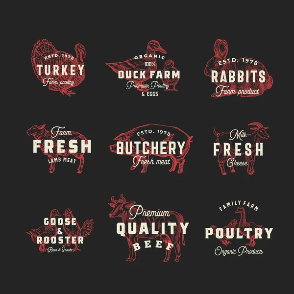 Retro Cattle and Poultry Vector Logo Templates Set. Hand Drawn Vintage Domestic Animals and Birds Sketches with Vintage Typography. Pig, Cow, Chicken, Rabbit, Turkey, etc. Isolated Labels Collection — Stock Vector