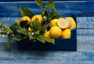 Güneş ve C vitamini dolu Murcia, İspanya 'dan limonlar.