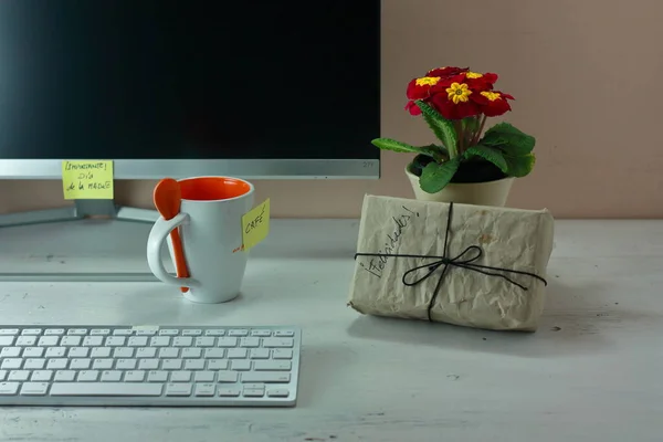 Regalo Para Día Madre Una Mesa Escritorio Blanca Con Plantas —  Fotos de Stock