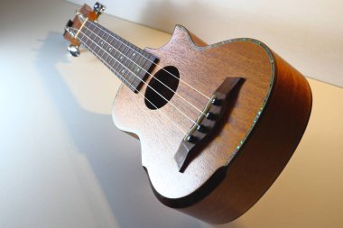 Ukulele küçük bir müzik aleti, çalması kolay ve çok eğlenceli.