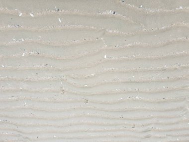 Wattenmeer und Muscheln in einer Nahaufnahme