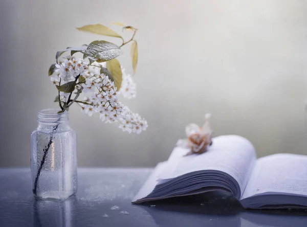 Open book and blossom branch of bird cherry on white table. Still life. Minimalism. Romantic concept.