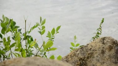  Yaz günü Nehri yakınında kayalar.