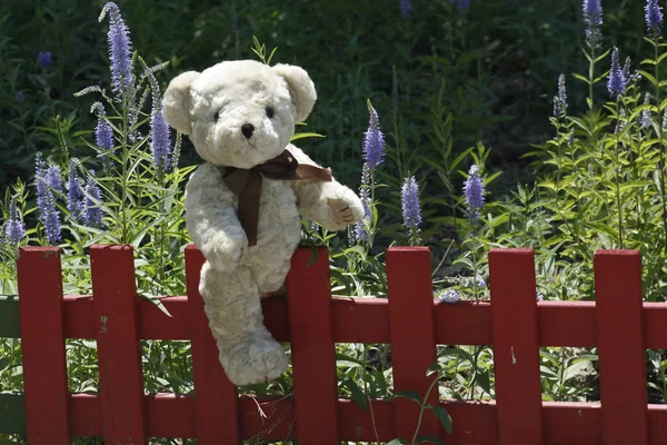 Niedlicher Teddybär Gras Und Blumen lizenzfreie Stockfotos
