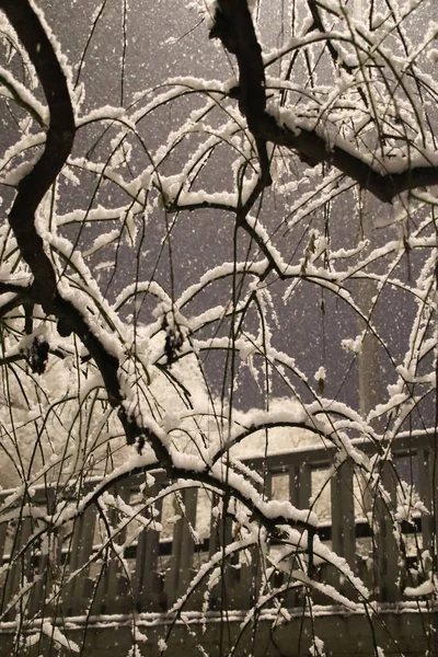 Rare Snow Beijing Even Though Night People Play Snow Happily — Stock Photo, Image