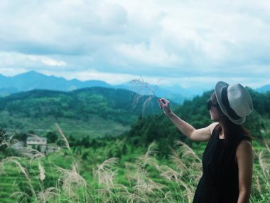 Rüzgarda sallanan kamış çiçekleri ve siyah elbisesi olan güzel bir kadın..