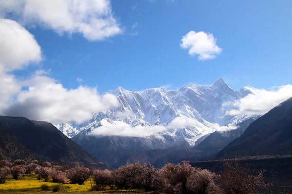 Przez Góry Dzikie Różowe Kwiaty Brzoskwiń Patrząc Szczyt Nanjiabawa Błękitne — Zdjęcie stockowe