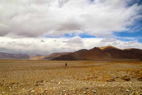 Magnifique Paysage Everest Scenic Area Colline Brune Les Montagnes Enneigées — Photo