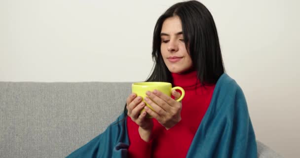 Chica joven sentada en el sofá con cuadros y una taza de té, calentarse en casa. Chica en el cuadros. Mira a la cámara. — Vídeos de Stock