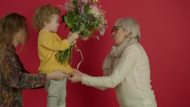 Liten unge presentera blommor till senior mormor i glasögon — Stockvideo