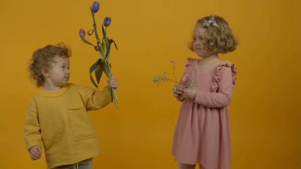 Curly kid presenting flowers to sister on yellow background — Stockvideo