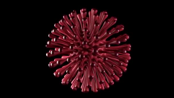 Koronawirus 2019-nCov 3d koncepcja modelowania bliskiej upanimacji wirusa. Na czarnym tle — Wideo stockowe