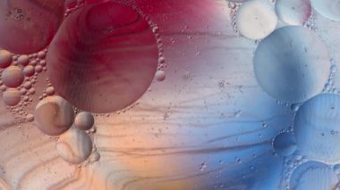 mikro yaşam konsepti, Büyük Patlama, tüm canlıların sonsuz döngüsü