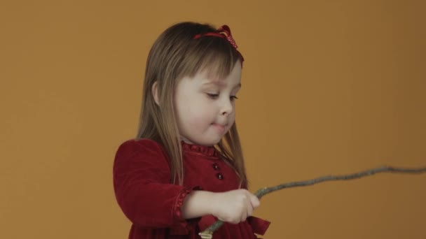 소녀는 당근을 막대기에 묶고 토끼를 쓰다듬었다. 부활절 테마 — 비디오