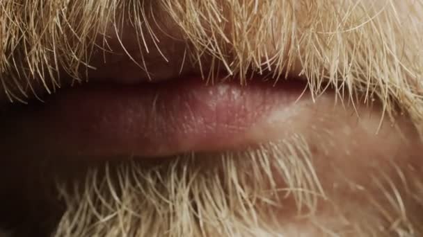 Plan macro d'un gros plan de la barbe masculine. Barbe rouge. le concept de barbe sale pendant la pandémie du virus du monde — Video