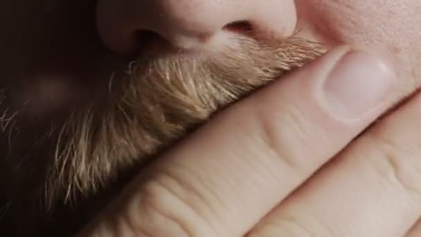 Blanke man met baard en rode baard. Leg een hand op de baard, close-up macro shot. Denken over situaties en problemen — Stockvideo