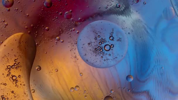 創造的なイメージ、人生の旋回、微生物、水の表面に油滴、多色の光の概念 — ストック動画