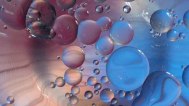 Mikrobiyolojik araştırma kavramı, hücre bağlantısı, lenf