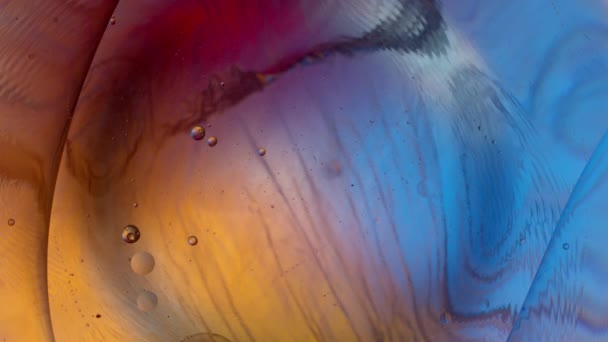 Mikrobiyoloji konsepti, hücre kendi ortamında hareket eder, farklı doku ve renk, kendi ortamında bir hücre, mikroskop altında bir yumurta, makro — Stok video