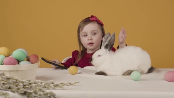 Het meisje kijkt naar de cartoon en streelt een konijn en kijk naar hem. Het thema van Pasen. Vakantie — Stockvideo