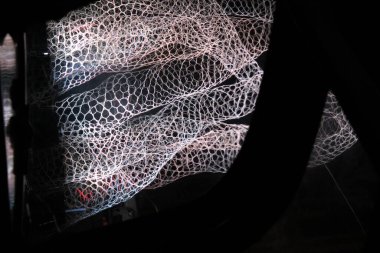 Ağaç yapıları ile yaratıcı renk sanatı