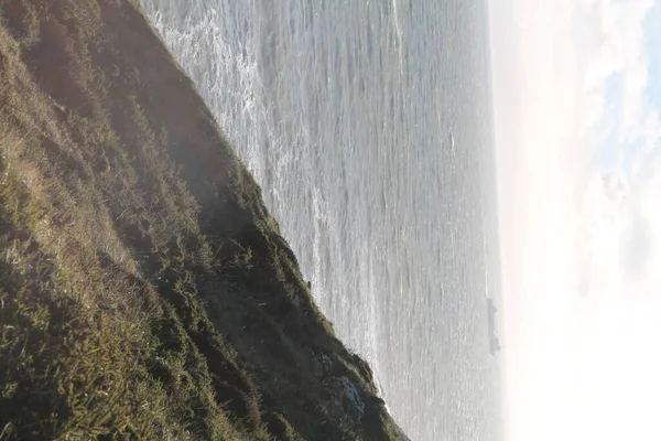 Зеленые поля на материковой части Ирландии вблизи побережья — стоковое фото