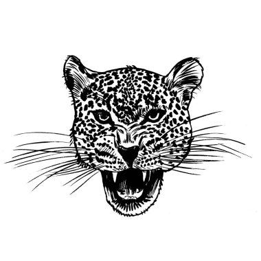 Leopar yüz tattoo, vektör çizim, yazdırma