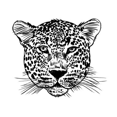 Leopar yüz tattoo, vektör çizim, yazdırma