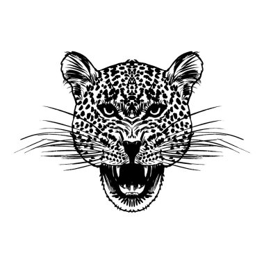 Leopar yüz tattoo, vektör çizim, yazdırma