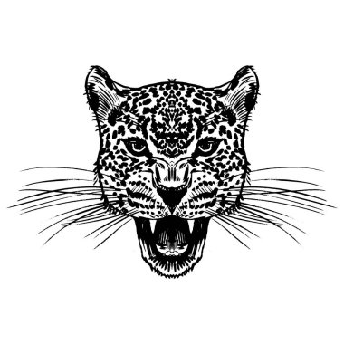 Leopar yüz tattoo, vektör çizim, yazdırma