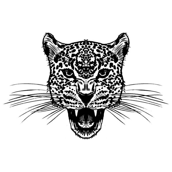 Leopard face tattoo ,Vector illustration, print