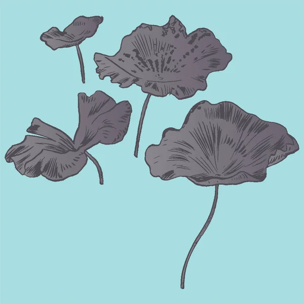 Σύνολο εξωτικά λουλούδια. Vintage εικονογράφηση φορέας βοτανική. — Διανυσματικό Αρχείο