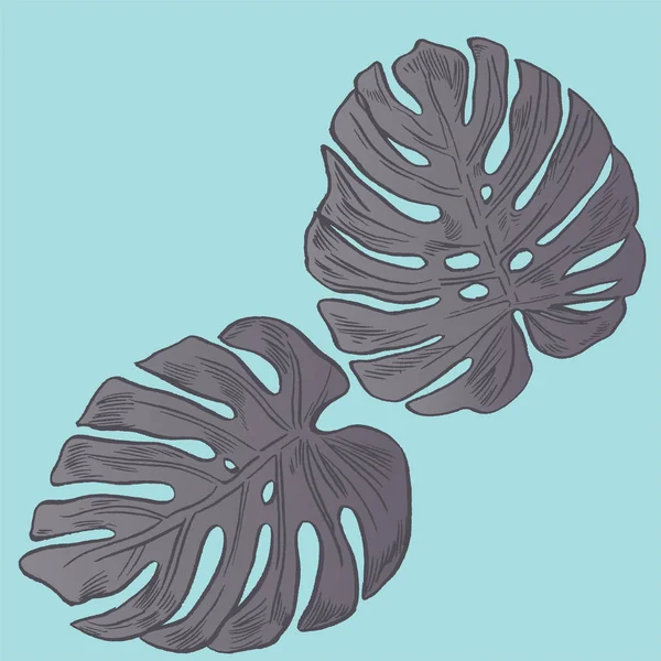エキゾチックな花を設定します。植物のベクトル ビンテージ イラスト. — ストックベクタ