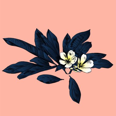 Egzotik çiçekler ayarlayın. Vintage botanik vektör çizim.