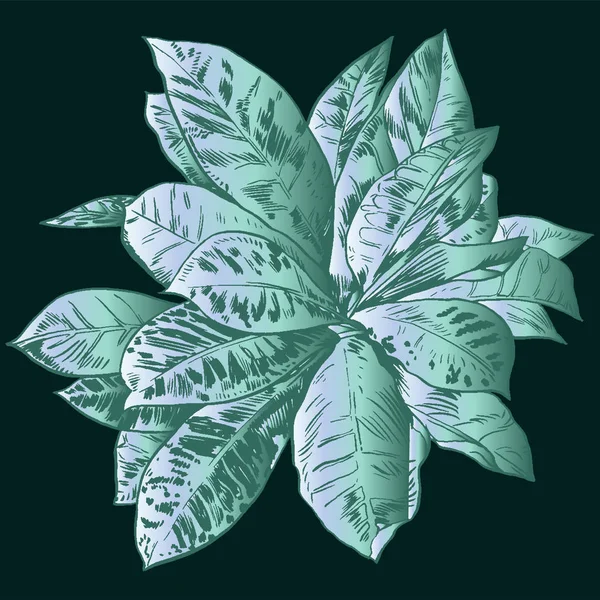 Exotische bloemen instellen. Botanische vintage vectorillustratie. — Stockvector