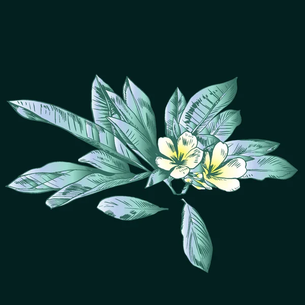 Exotische bloemen instellen. Botanische vintage vectorillustratie. — Stockvector