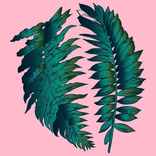 Exotische bloemen instellen. Botanische vintage vectorillustratie. — Stockvector