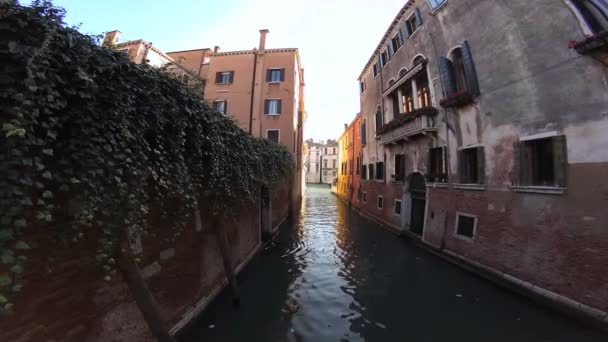 Venedig, Italien, venetiansk kanal — Stockvideo