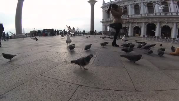 Venedig, italien - venedig city famous san marco square. — Stockvideo