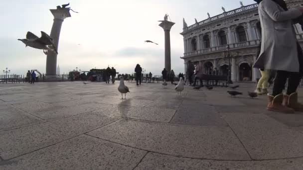 Venedig, italien - venedig city famous san marco square. — Stockvideo